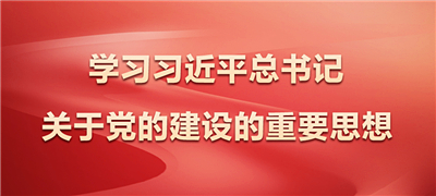 学习时间